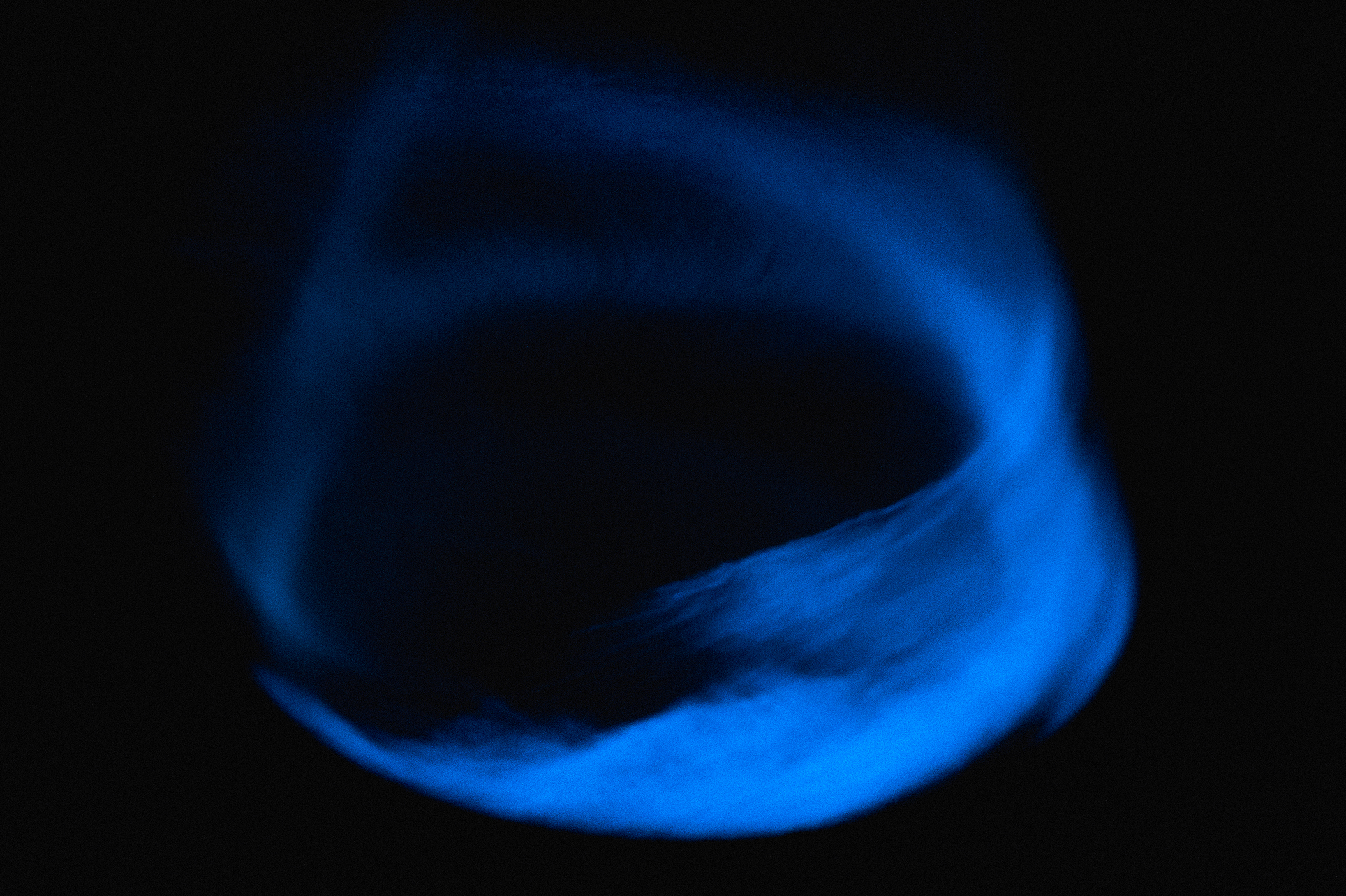GROWING LIGHT project image