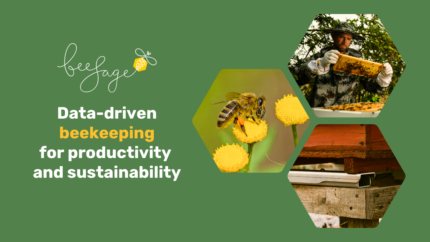 BeeSage project image