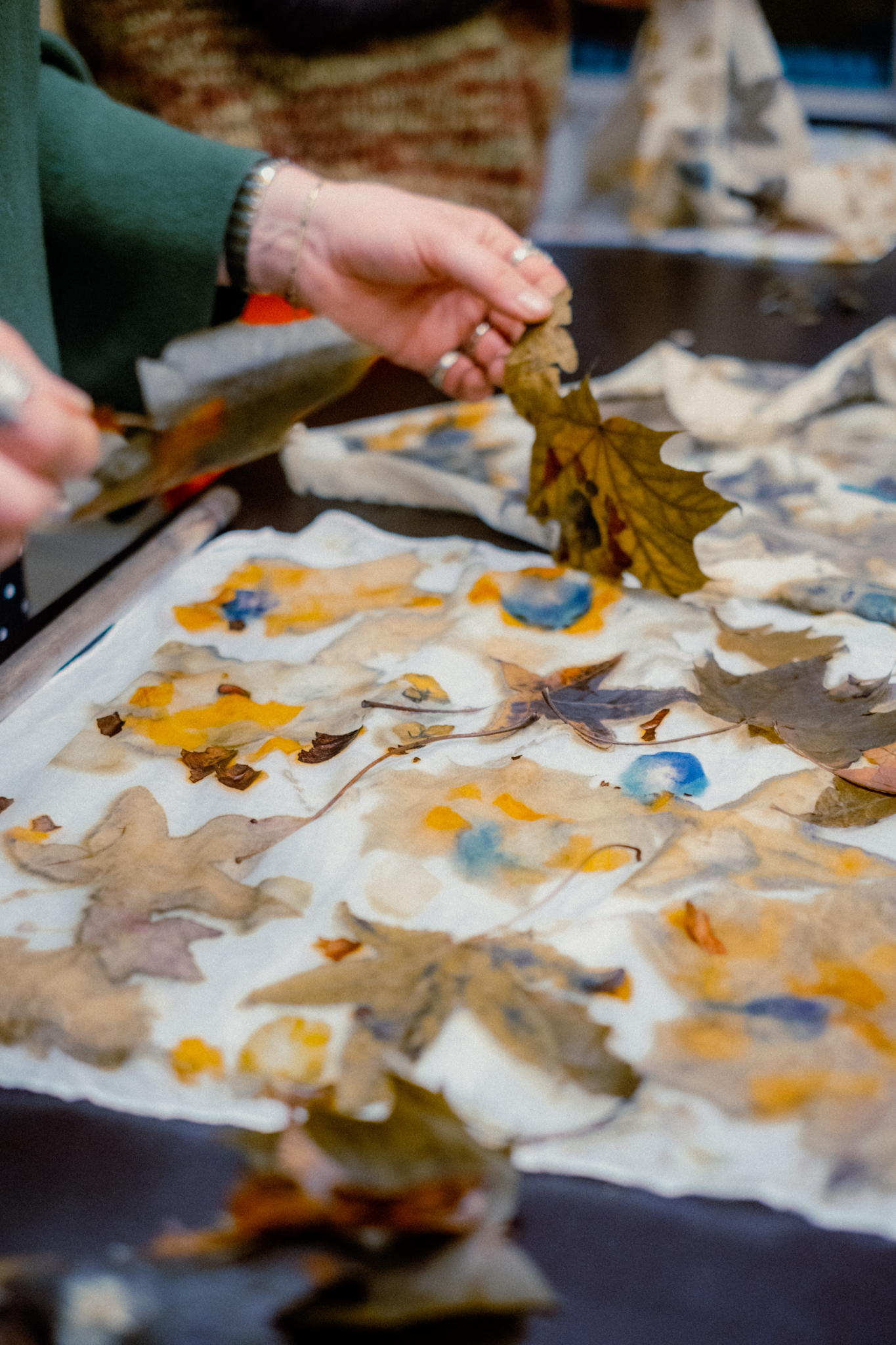 The Art of Sustainable Ecoprint project image