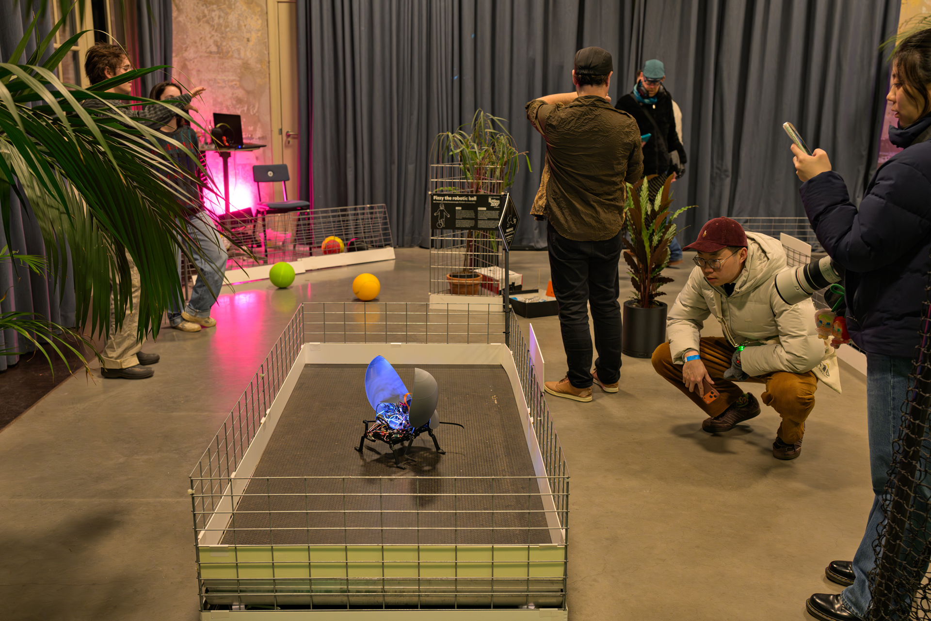 Flash Beetle @ Robotic Petting Zoo project image